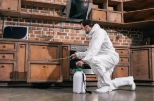 شركة مكافحة حشرات بالمزاحمية