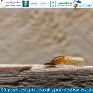 مكافحة النمل الابيض بالرياض 