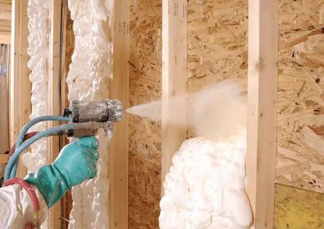 شركة مكافحة النمل الأبيض بجده