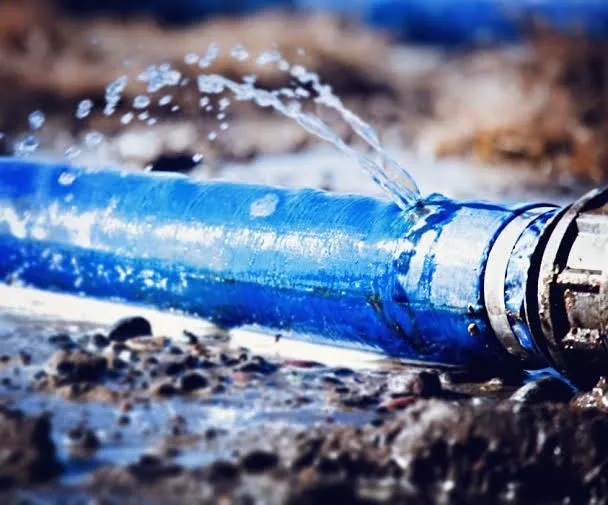 شركة مكافحة النمل الأبيض بجده