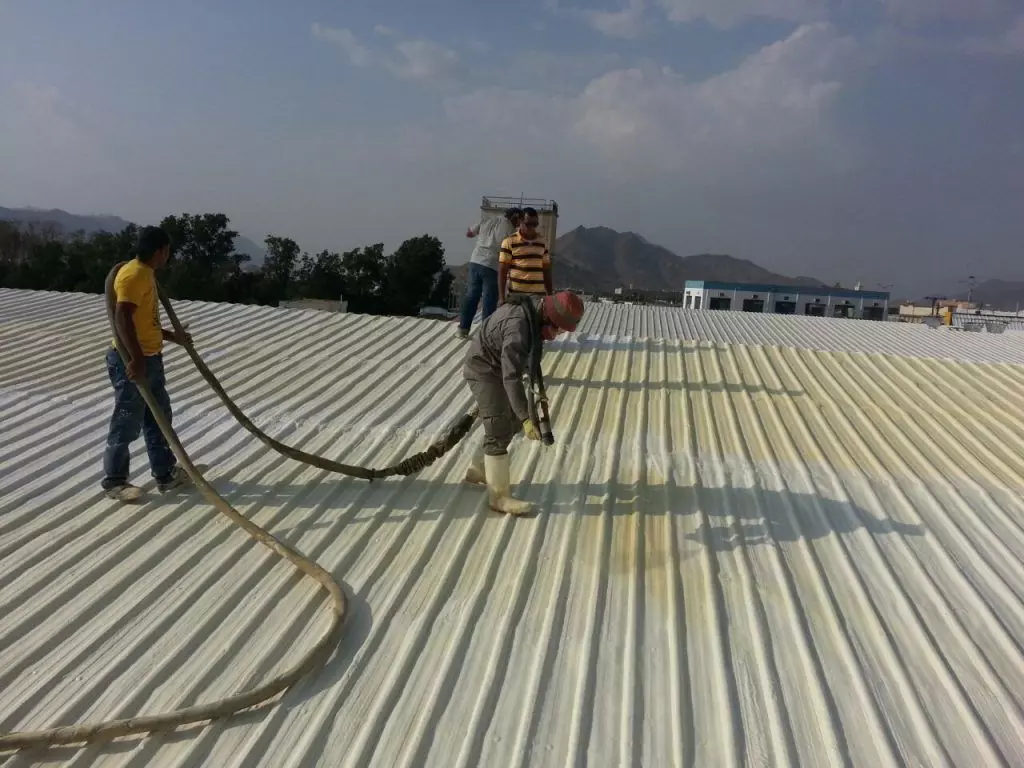 شركة مكافحة النمل الأبيض بجده